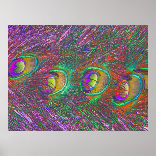 Poster Penas de Natal Tinsel Peacock (Frente)