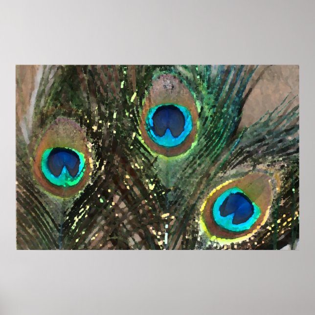 Póster Penas de Peacock com Rochas (Frente)