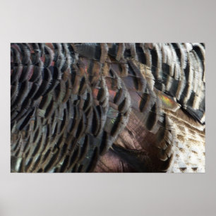 Póster Penas de Peru Selvagem I Design Abstrato da Nature