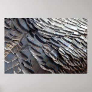 Poster Penas de Peru Selvagem II Design Abstrato da Natur