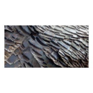 Póster Penas de Peru Selvagem II Design Abstrato da Natur