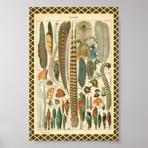 Póster Penas do vintage