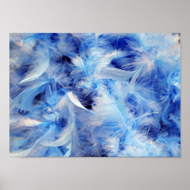 Póster Penas Fluffy (Frente)