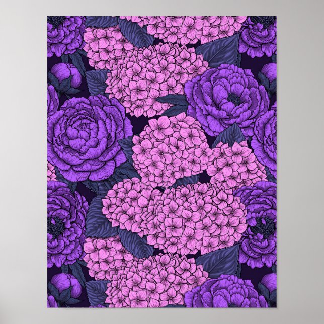 Poster Penia e hidrangea em rosa e violeta (Frente)