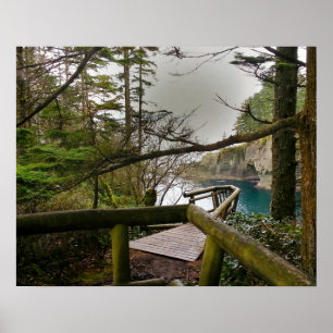 Póster Península de Olimpiadas de Cape Flattery - Washin