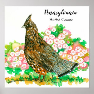 Poster Pennsylvania Ruffed Grouse Mountain Laurel