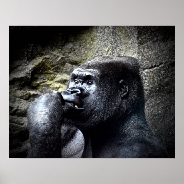 Poster Pensamento de Gorila da Montanha Silverback (Frente)