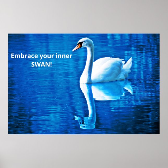 Poster Pensamento Motivacional Reflexão do Cisne Azul e B (Frente)
