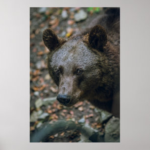 POSTER PENSAMENTOS BARATOS