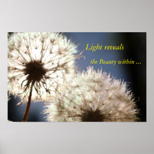 Poster Pensamentos leves