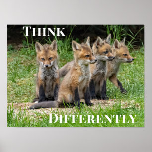 Poster Pense diferente em Raposa