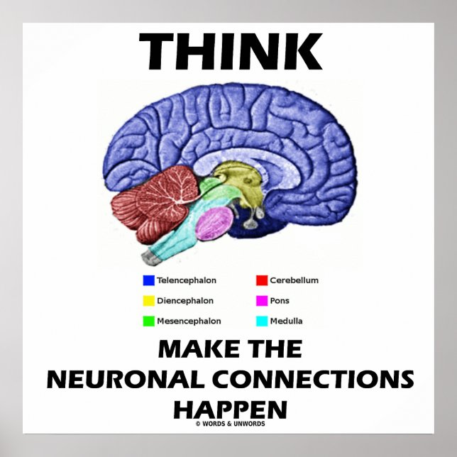 Poster Pense Em Fazer As Conexões Neuronais Acontecerem (Frente)