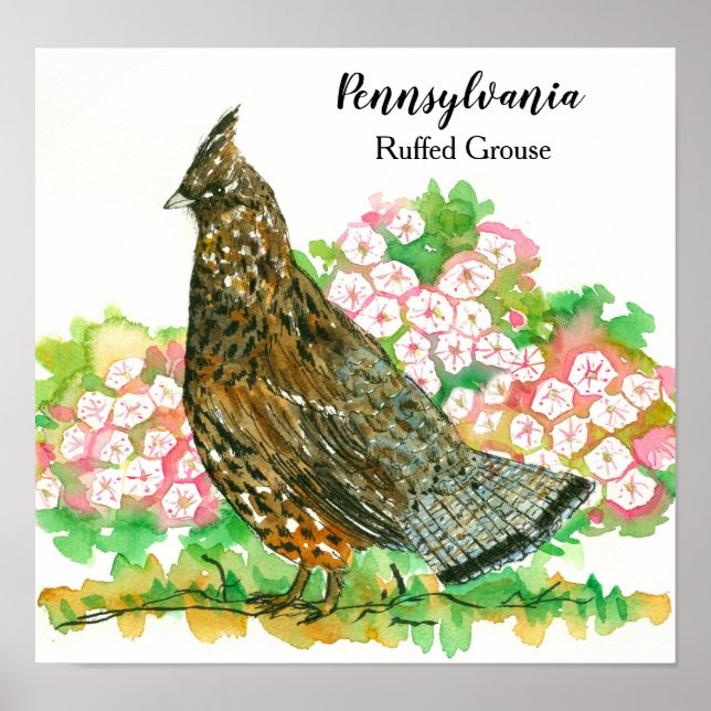 Poster Pensilvânia Ruffed Grouse Mountain Laurel (Frente)