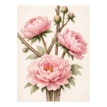 Peônia Botânica Rosa