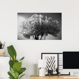 Poster Peony,