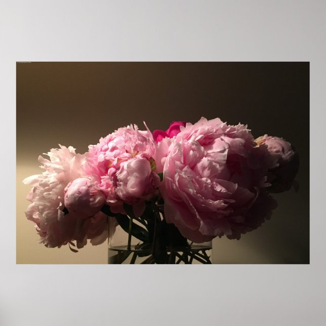 Poster Peony, (Frente)