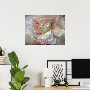 Poster Peony,