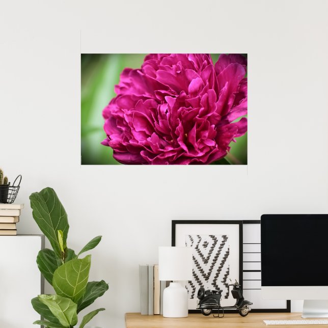 Poster Peony, (Escritório em casa)