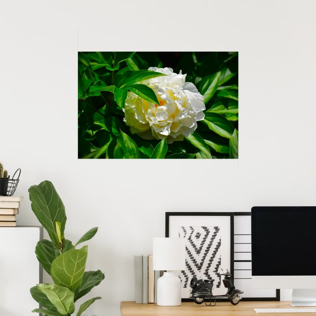 Poster Peony, (Escritório em casa)