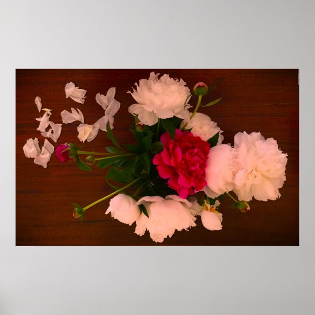 Poster Peony, (Frente)