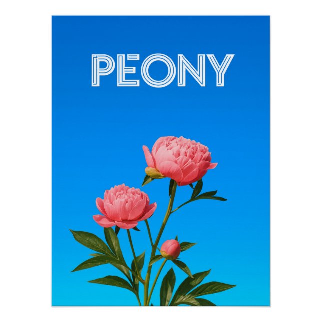 Póster Peony (Frente)