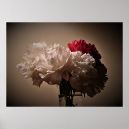Poster Peony,