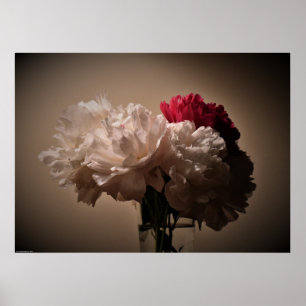 Poster Peony,