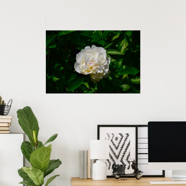 Poster Peony, (Escritório em casa)