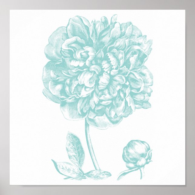 Poster Peony Blue Green (Frente)