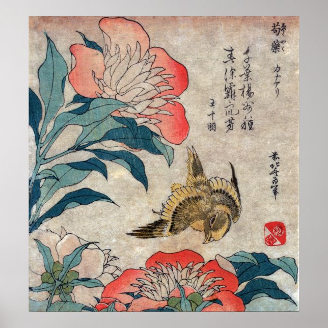Póster Peony e Canary, Hokusai (Frente)