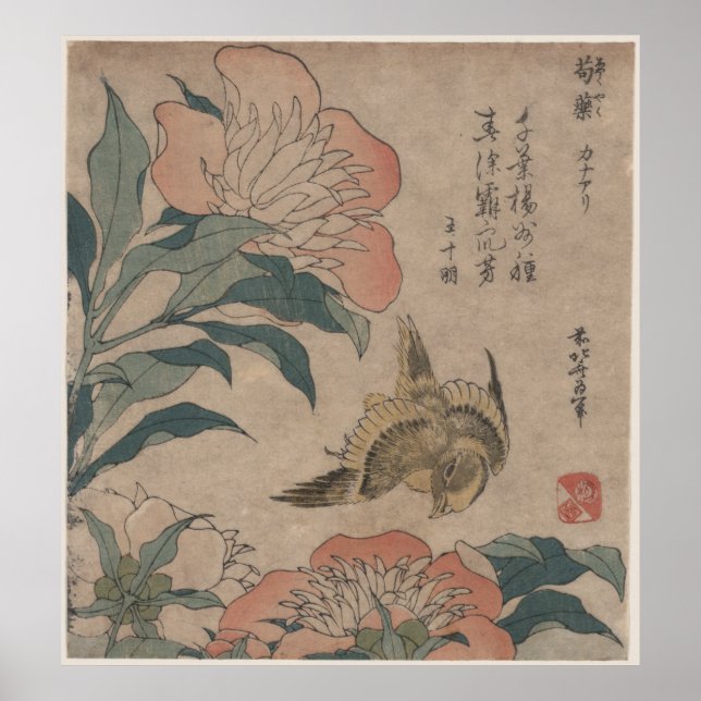 Póster Peony e Canary por Katsushika Hokusai (Frente)