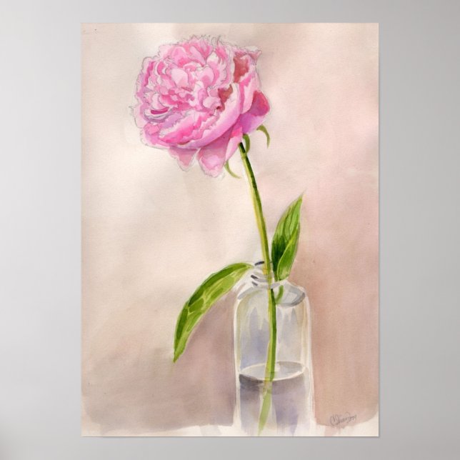 Poster Peony Flower Ainda Life in Watercolor (Frente)