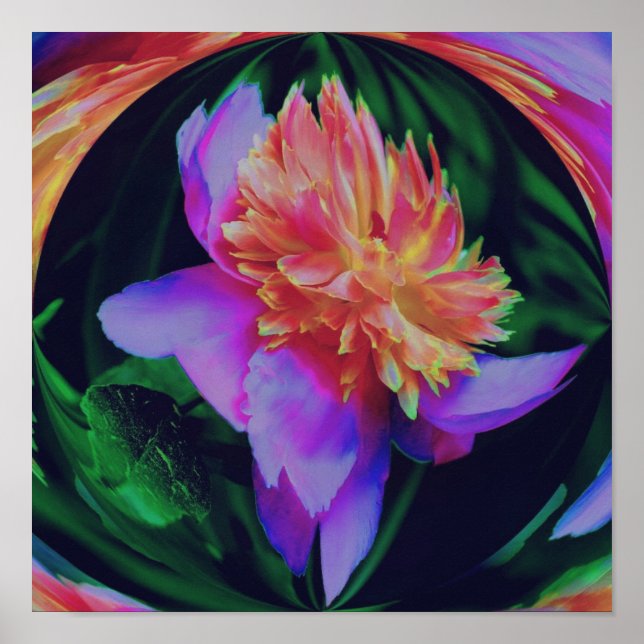 Poster Peony Flower Energy Abstrato (Frente)