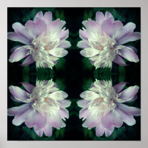 Poster Peony Flower Nature Abstrato