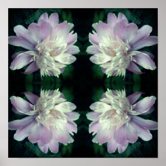 Poster Peony Flower Nature Abstrato