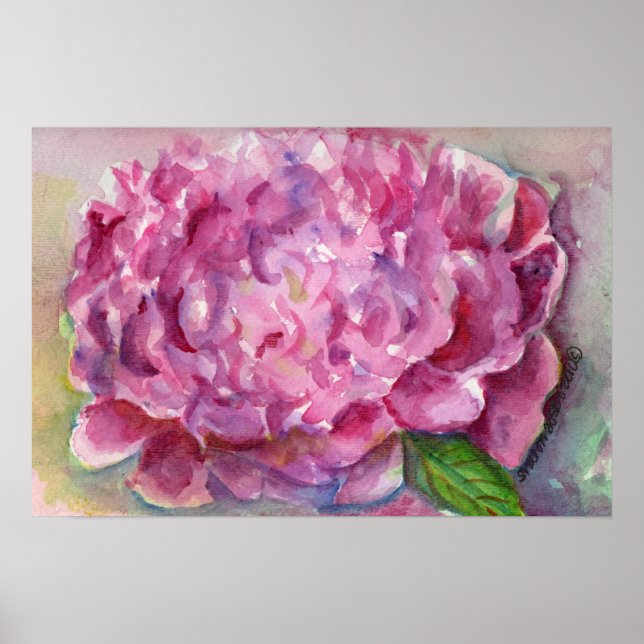 Póster Peony Watercolor (Frente)