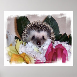 Póster Pepperpot o ouriço
