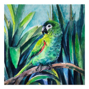 Póster Pequena arara verde