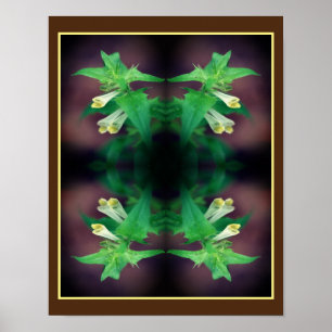 Poster Pequena Flor Silvestre Branca Close Up Espelho Abs