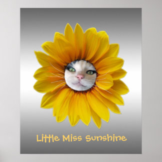 Póster Pequena Miss Sunshine Sorrindo Gato
