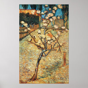 Poster Pequena pereira em flor por Vincent van Gogh