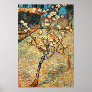 Poster Pequena pereira em flor por Vincent van Gogh