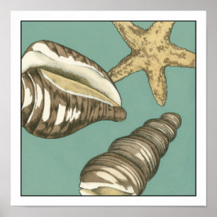 Poster Pequena Shell Trio no Teal