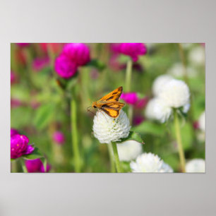 Poster Pequenas Ações 1