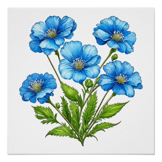 Póster Pequenas Flores Azuis (Frente)
