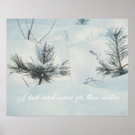 Poster Pequenas fontes sob neve