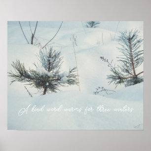 Poster Pequenas fontes sob neve