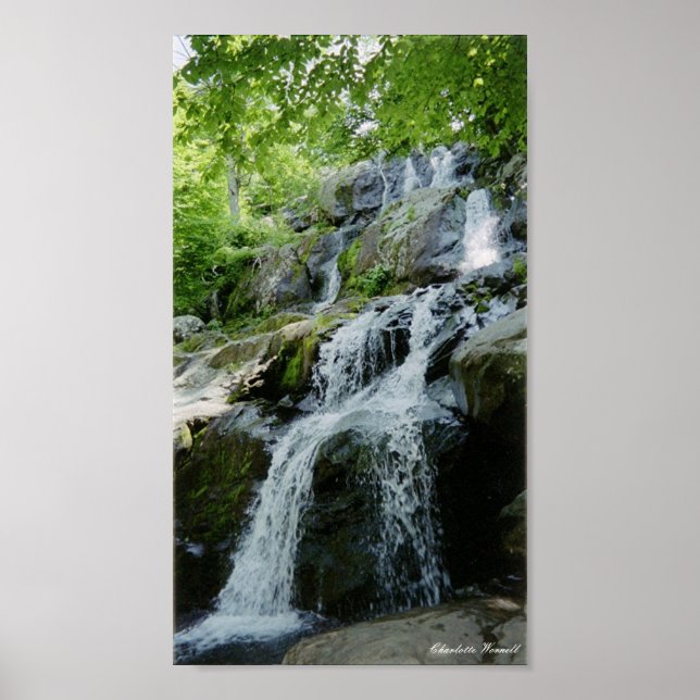 Póster pequenas impermeáveis (Frente)