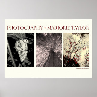 Poster pequeno (22,5 x 15 pol.)