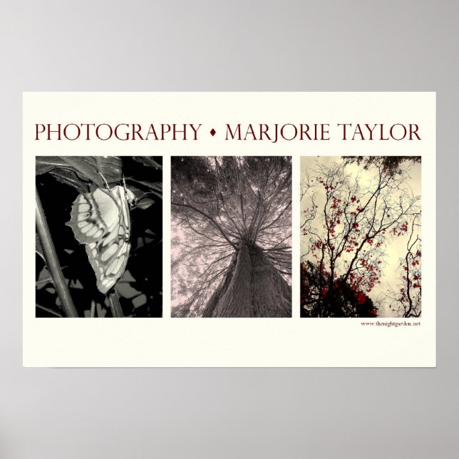 Poster pequeno (22,5 x 15 pol.) (Frente)